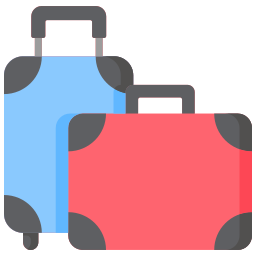 travel luggage 1